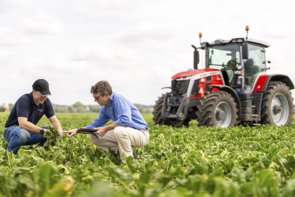 Two men inspecting crops in a field with a Massey Ferguson tractor in the background.